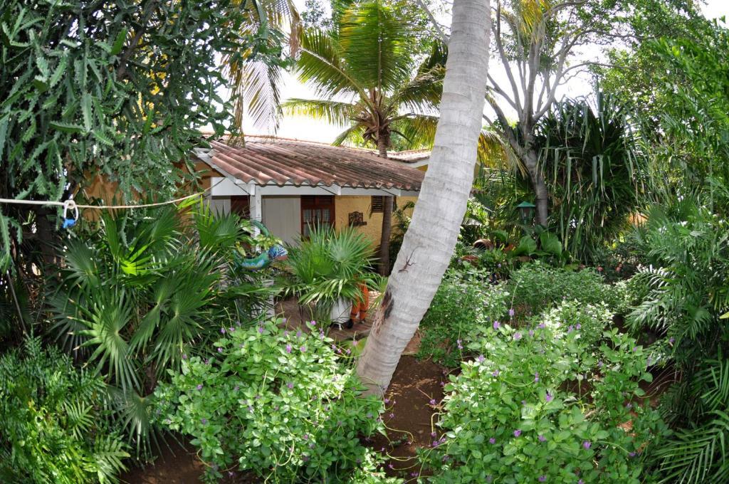 וילמסטאד Sun Reef Village On Sea חדר תמונה